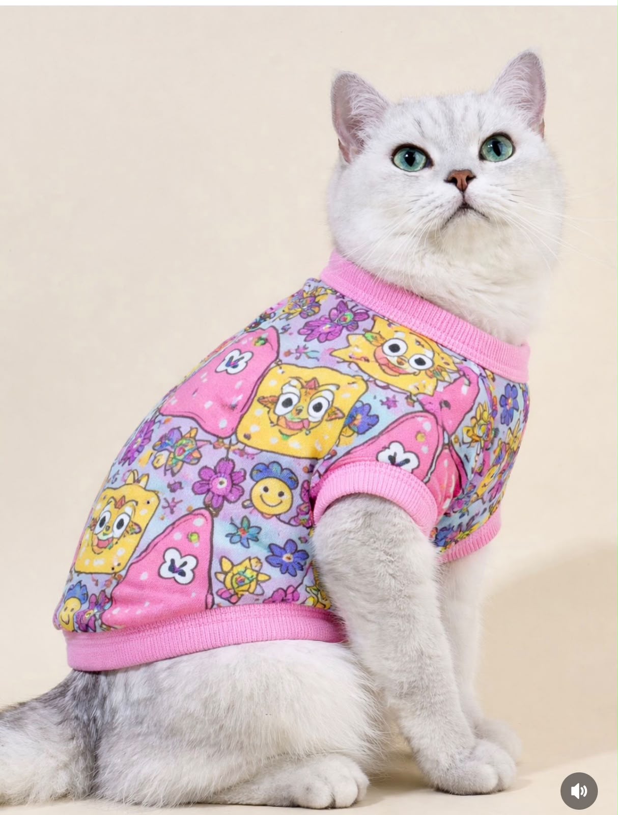 Shopi Petss – foto 4